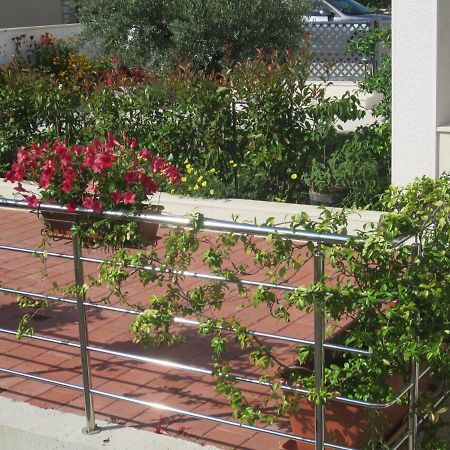 Apartment Silvana Rovinj Exterior photo