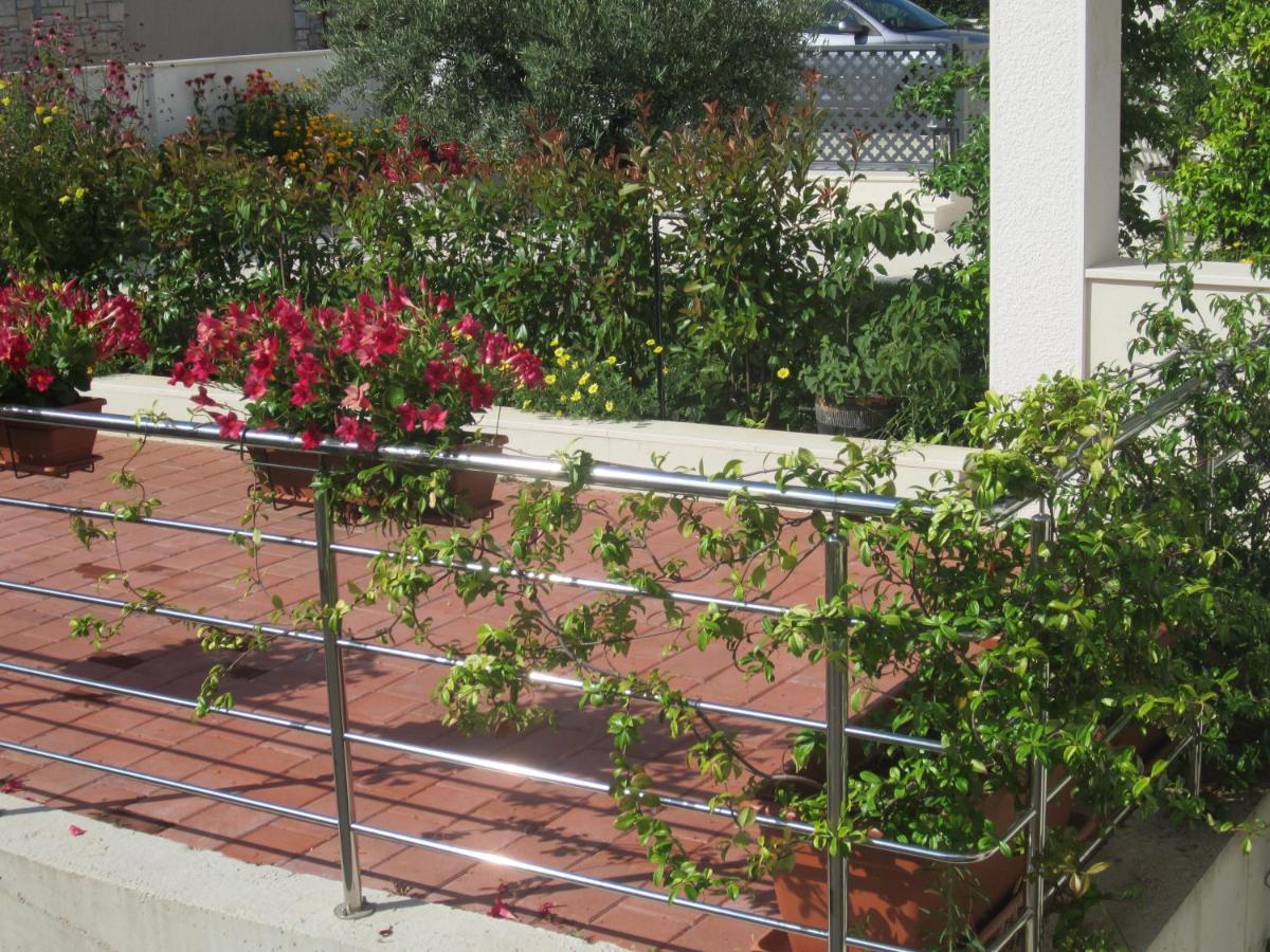 Apartment Silvana Rovinj Exterior photo
